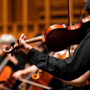 Gentle Harmonies: Soothing Orchestra Sounds for Relaxation - Valborg Shamsuddin