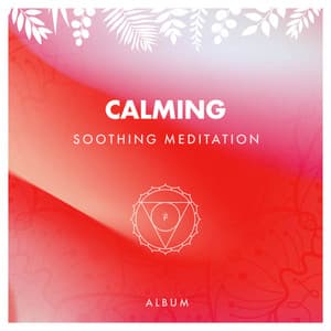 Calming Soothing Meditation Album - Anxiety Relief
