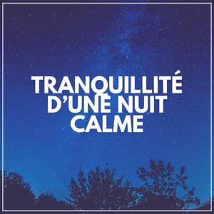 Tranquillité D'une Nuit Calme - Musique Relaxante
