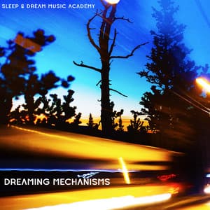 Dreaming Mechanisms - Sleep & Dream Music Academy