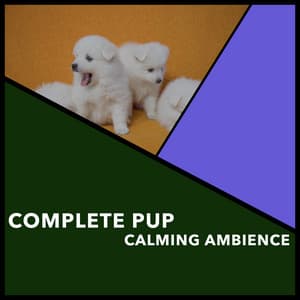 Complete Pup Calming Ambience - Dogs Music Therapy