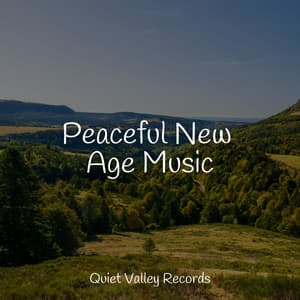 Peaceful New Age Music - Sounds Of Rain & Thunder Storms