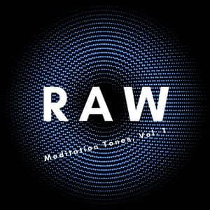 RAW Meditation Tones, Vol. 1 - Skylight+