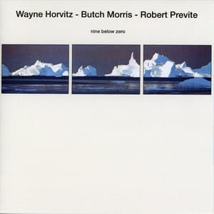 Nine Below Zero - Wayne Horvitz