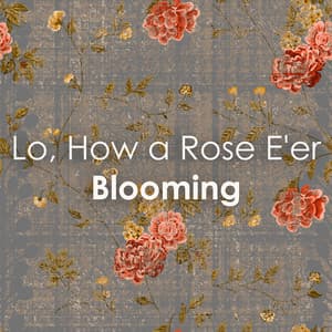 Lo, How a Rose E'er Blooming - Michael Praetorius