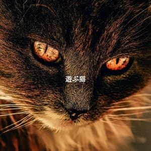 遊ぶ猫 - Cooking Music Fun