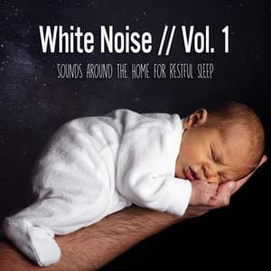 White Noise - Sounds Around The Home For Restful Sleep, Vol. 1 - Sleeping Little Lions