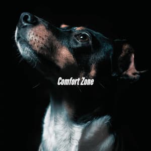 Comfort Zone - Fine Dining Music