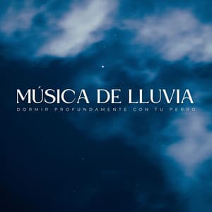 Música De Lluvia: Dormir Profundamente Con Tu Perro - Lluvia Relajante para Dormir