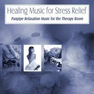 Healing Music for Stress Relief: Panpipe Relaxation Music for the Therapy Room - Relaxation Specialists