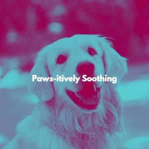 Paws-itively Soothing - Relaxing Instrumental Jazz Cafe