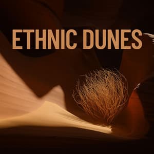 Ethnic Dunes - Ethnic Moods Academy