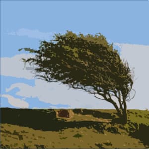 The Wind and The Rain - Zen Meditate