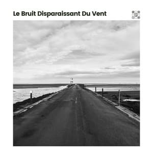 Le Bruit Disparaissant Du Vent - Bruit Blanc Sommeil