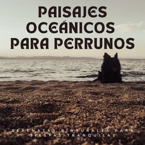 Paisajes Oceánicos Para Perrunos: Serenatas Binaurales Para Siestas Tranquilas - En el océano (efectos de sonido)