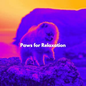 Paws for Relaxation - Jazz Moderna para Cafeterías
