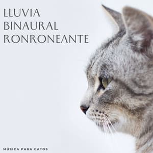 Lluvia Binaural Ronroneante: Música Para Gatos - Lazers binaurales