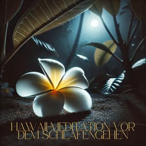 Hawaii-Meditation vor dem Schlafengehen - Meditationsmusik Sammlung