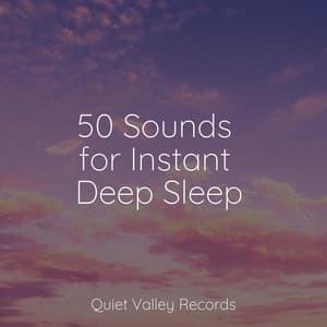 50 Sounds for Instant Deep Sleep - The White Noise Zen & Meditation Sound Lab