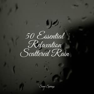 50 Essential Relaxation Scattered Rain - Rain Makers