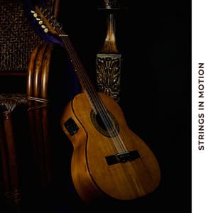 Strings in Motion - Jazz Guitar Club