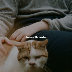Catnap Chronicles - Quiet Dinner Music
