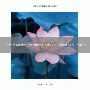 Perfect Meditation Vibes Heals Your Mind And Revives - Spiritual Relax