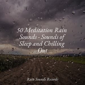50 Meditation Rain Sounds - Sounds of Sleep and Chilling Out - Meditation Relaxation Club