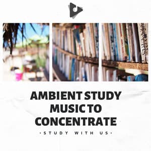 Ambient Study Music To Concentrate - Study With Us