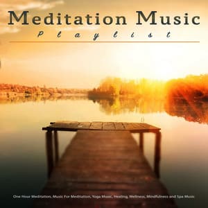 Meditation Music Playlist: One Hour Meditation, Music For Meditation, Yoga Music, Healing, Wellness, Mindfulness and Spa Music - Meditation