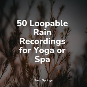 50 Loopable Rain Recordings for Yoga or Spa - Deep Horizon Waves