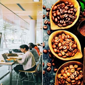 Music for Espresso Jolts - Acoustic Study Music Beats