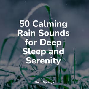 50 Calming Rain Sounds for Deep Sleep and Serenity - The Relaxing Sounds of Swedish Nature