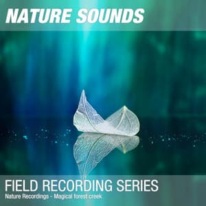 Nature Recordings - Magical forest creek - Nature Sounds