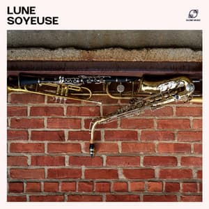 Lune Soyeuse: Musique Jazz Relax - Jazz douce musique d'ambiance