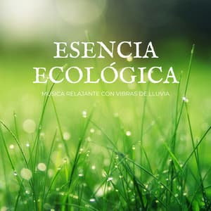 Esencia Ecológica: Música Relajante Con Vibras De Lluvia - Grabaciones meteorológicas y de la naturaleza