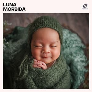Luna Morbida - Ninna Nanna Sogno