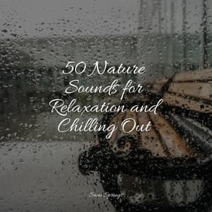 50 Nature Sounds for Relaxation and Chilling Out - Natureza Musica Bem-Estar Academia