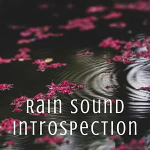 Rain Sound Introspection - Binaural Beats Spa