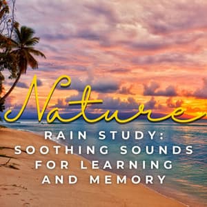 Rain Study: Soothing Sounds for Learning and Memory - Rain Noise Sleep