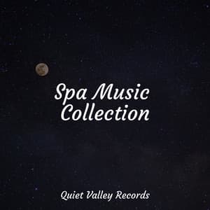 Spa Music Collection - Sonido Del Bosque y Naturaleza