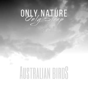 Australian Birds - Only Nature