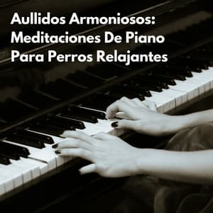 Ronroneos Armoniosos: Melodías De Piano Meditativo Para Gatos Felices - Salón con piano bar