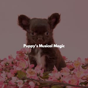 Puppy's Musical Magic - Jazz Lounge Bar Ambiance