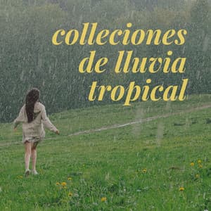 Colleciones de lluvia tropical - Siente El Clima