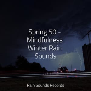 Spring 50 - Mindfulness Winter Rain Sounds - PowerThoughts Meditation Club