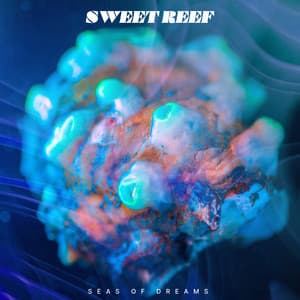 Sweet Reef - Seas of Dreams