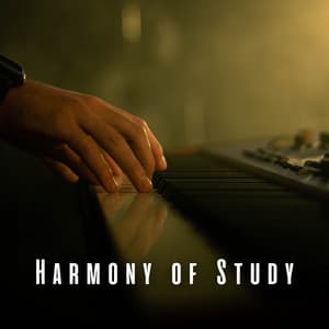 Harmony of Study: Relaxing Piano Sounds for Deep Study - Relaxing Piano Man