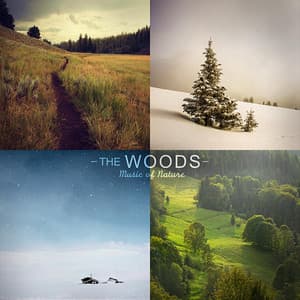 The Woods - Music of Nature