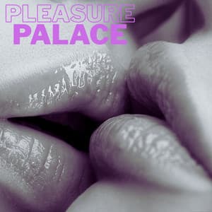 Pleasure Palace Sexy Beats - DJ Sedux